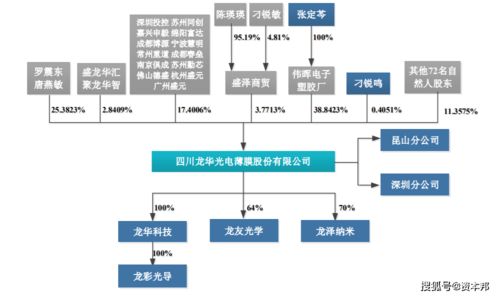 龙华薄膜 新三板退市转战创业板，技术短板与会计隐忧成挑战