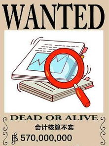 会计核算 会计工作的核心与基石