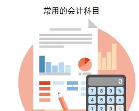 会计科目与会计的关系解析